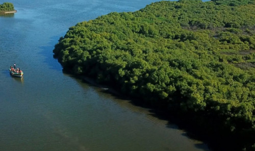 Karangadu Mangrove Boating  - Ramanathapuram  - Gallery Image 1 - Tamil Nadu - Tnfdsutrula