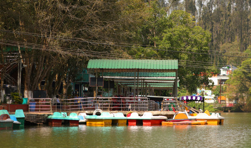 Yercaud Eco Park - Near Boat House, Yercaud,  Salem - Gallery Image 6 - Tamil Nadu - Tnfdsutrula