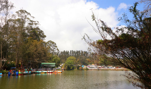 Yercaud Eco Park - Near Boat House, Yercaud,  Salem - Gallery Image 7 - Tamil Nadu - Tnfdsutrula