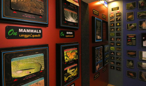 Yercaud Eco Park - Near Boat House, Yercaud,  Salem - Gallery Image 2 - Tamil Nadu - Tnfdsutrula
