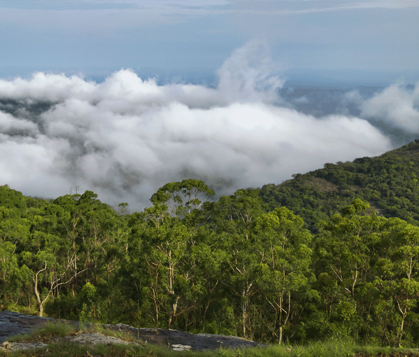 Nature Trails in Tamil Nadu - Tnfdsutrula 