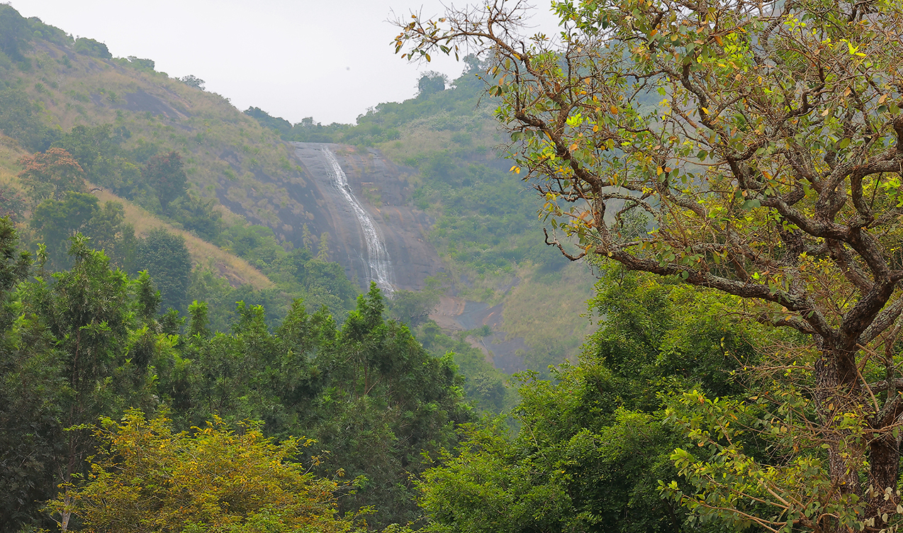 Masila Falls - Kilaku valavu, Ariyurnadu, Namakkal - 3 - Tamil Nadu - Tnfdsutrula