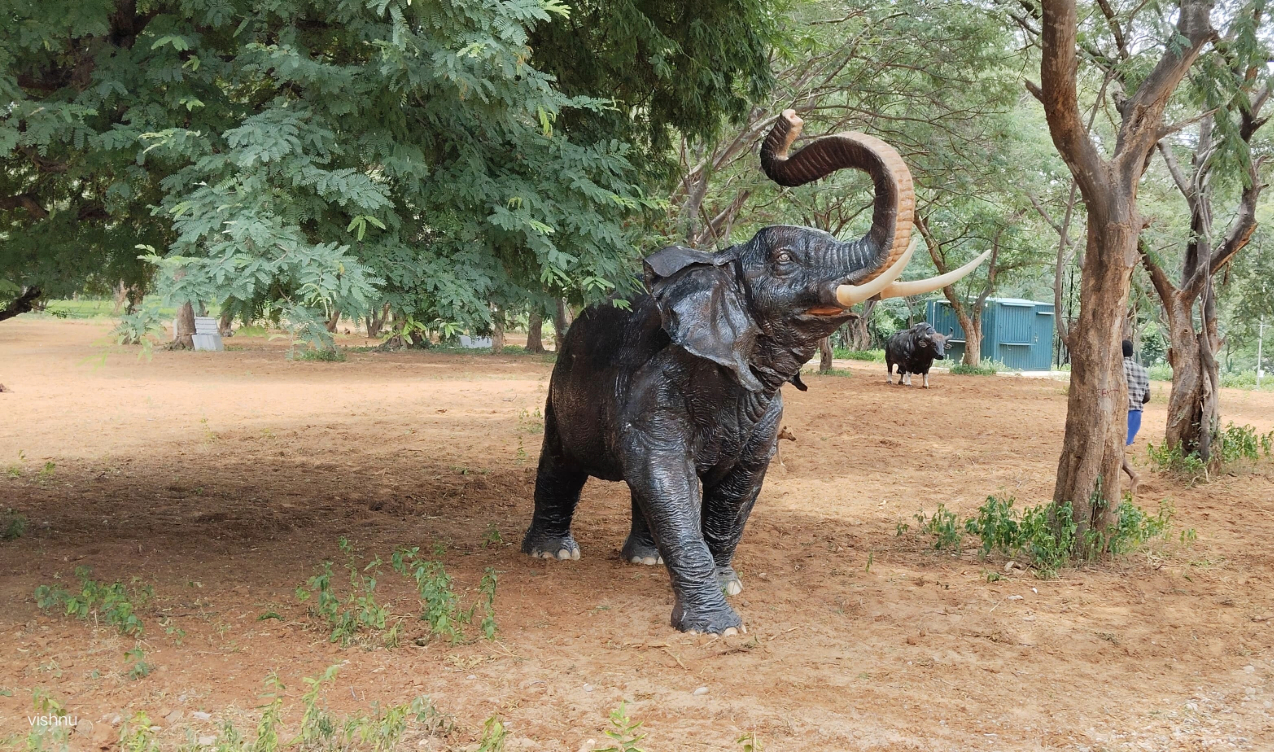 Biligundulu Eco-tourism Centre - Biligundulu Village, Anchetty, Hosur - 3 - Tamil Nadu - Tnfdsutrula