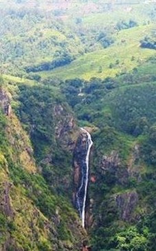 Catherine water falls - Kothagiri, Nilgiris - 4 - Tamil Nadu - Tnfdsutrula