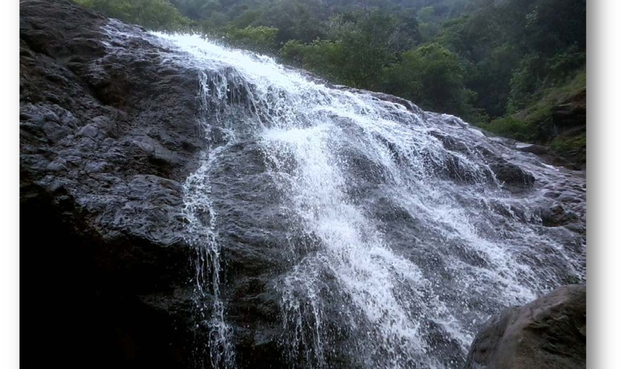 Megam water falls  - Gomukhi forest range, Kallakurichi - 1 - Tamil Nadu - Tnfdsutrula