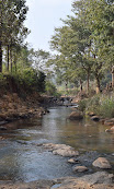Kaviyam water falls  - Gomukhi forest range, Kallakurichi - 4 - Tamil Nadu - Tnfdsutrula