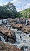 Kaviyam water falls  - Gomukhi forest range, Kallakurichi - 5 - Tamil Nadu - Tnfdsutrula
