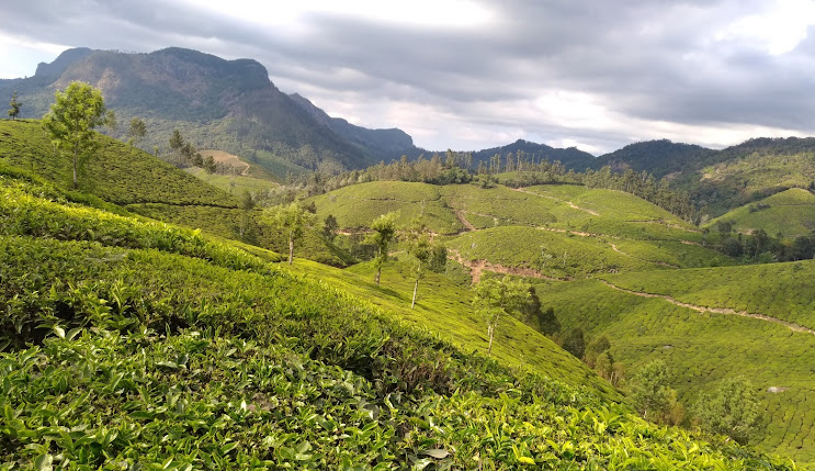 Top Station - Kottagudi, Theni - 1 - Tamil Nadu - Tnfdsutrula