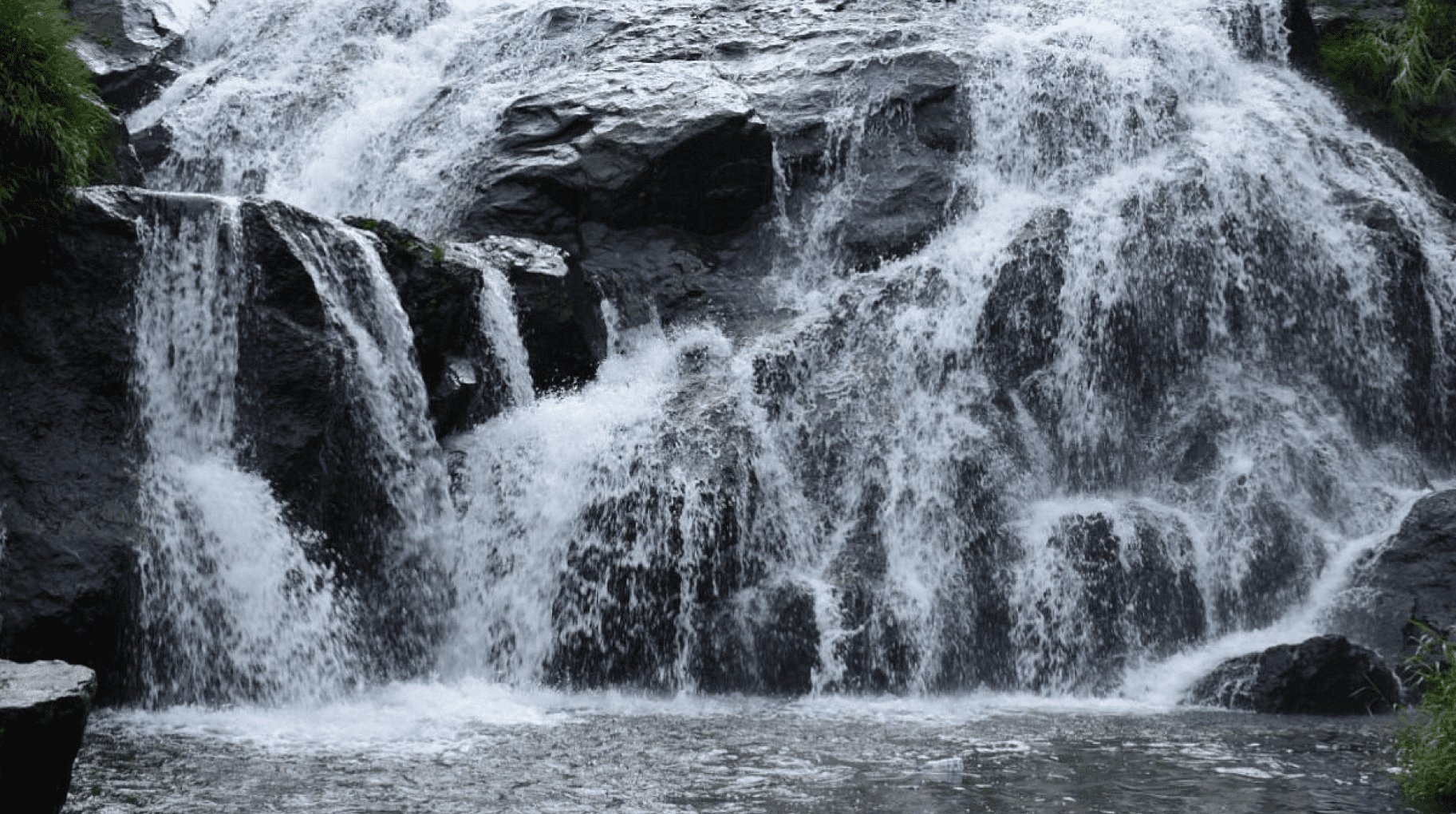 Catherine water falls - Kothagiri, Nilgiris - 3 - Tamil Nadu - Tnfdsutrula