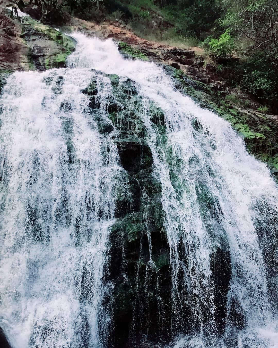 Megam water falls  - Gomukhi forest range, Kallakurichi - 2 - Tamil Nadu - Tnfdsutrula