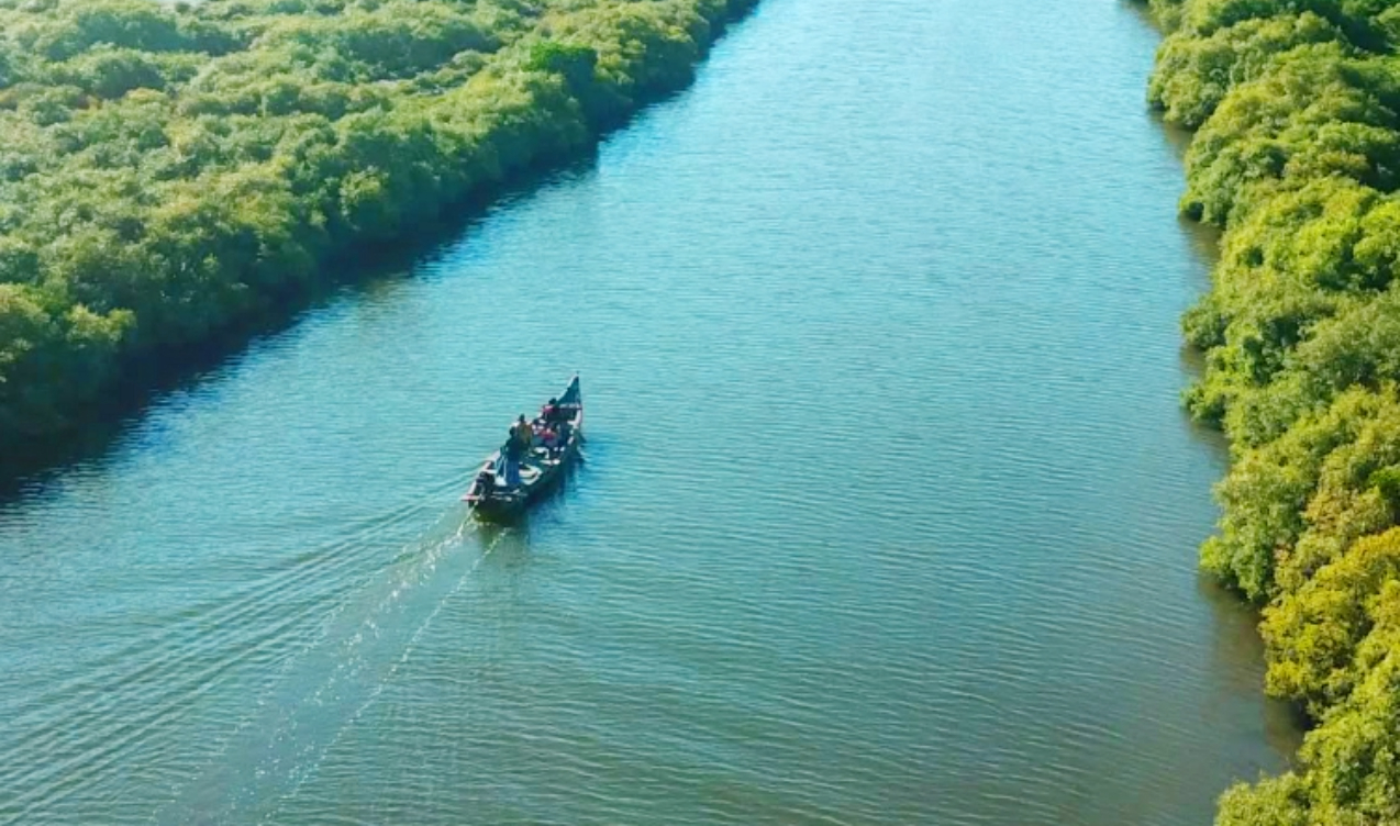 Karangadu Mangrove Boating  - Ramanathapuram  - 0 - Tamil Nadu - Tnfdsutrula  