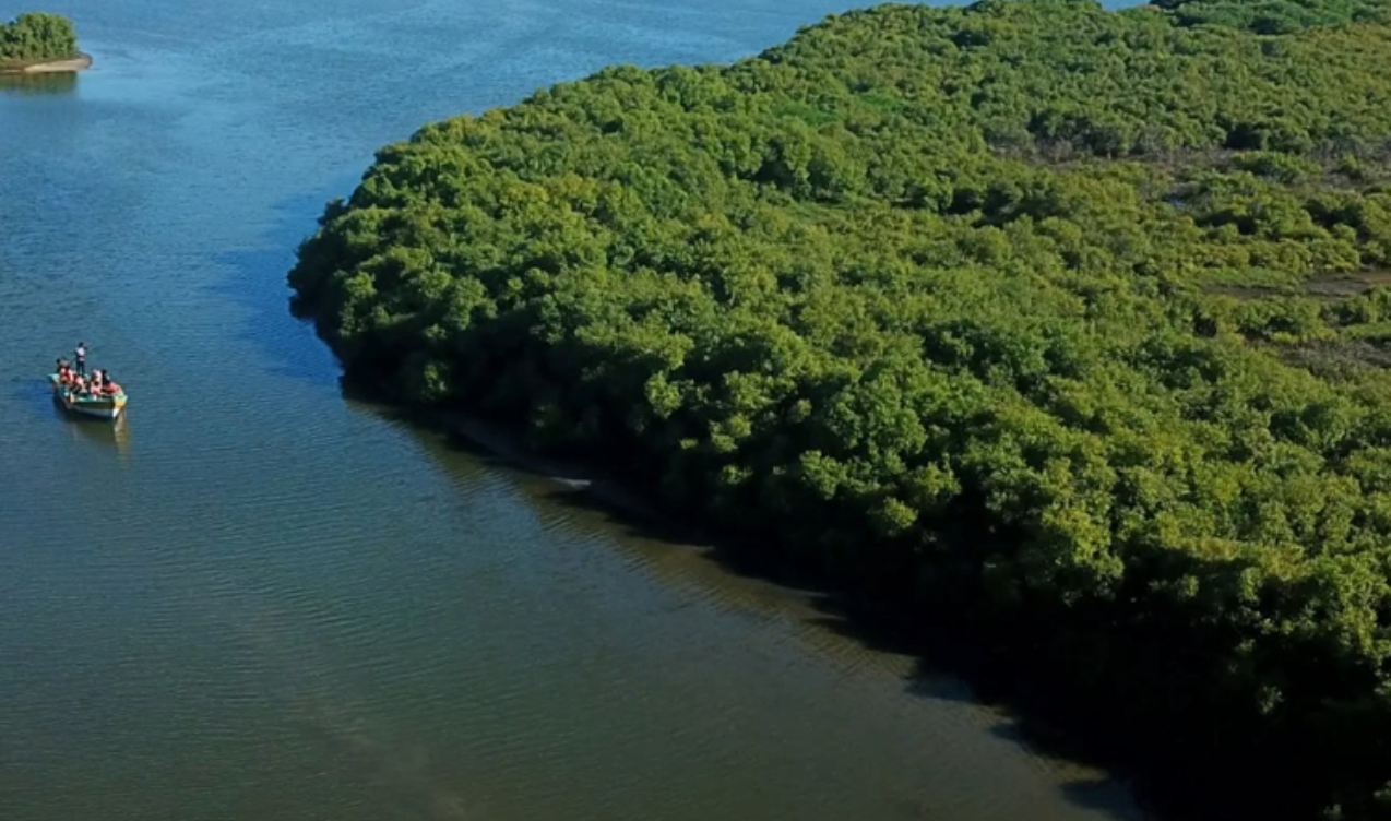 Karangadu Mangrove Boating  - Ramanathapuram  - 1 - Tamil Nadu - Tnfdsutrula  