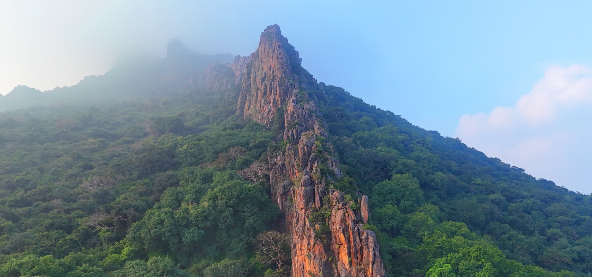  Eco Tourism Portal Tamil Nadu - Tnfdsutrula | Banner - 