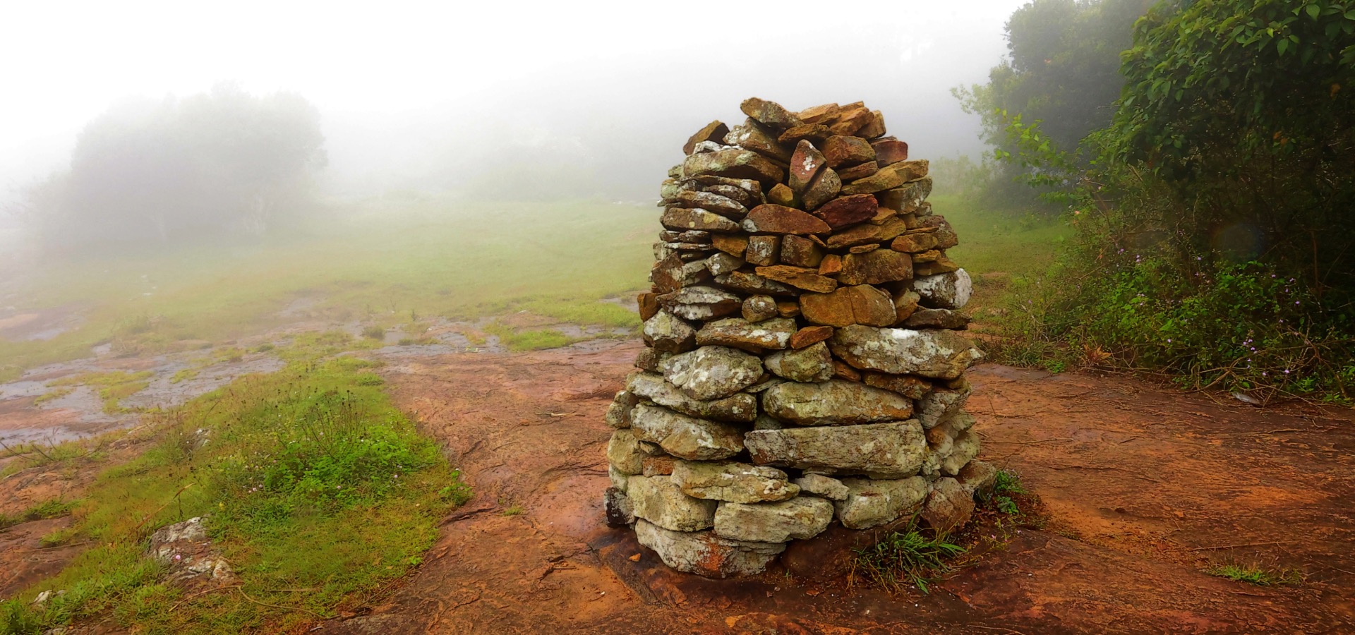  Eco Tourism Portal Tamil Nadu - Tnfdsutrula | Banner - 