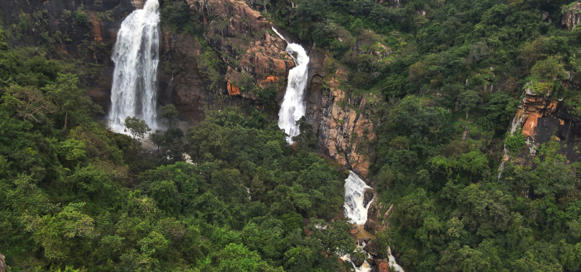  Eco Tourism Portal Tamil Nadu - Tnfdsutrula | Banner - 