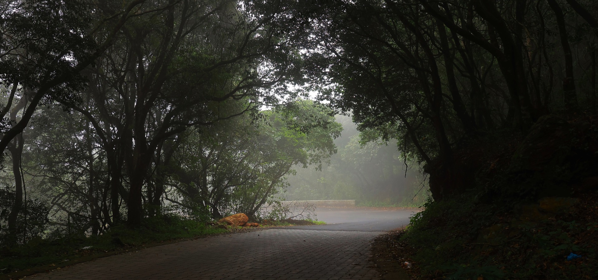  Eco Tourism Portal Tamil Nadu - Tnfdsutrula | Banner - 