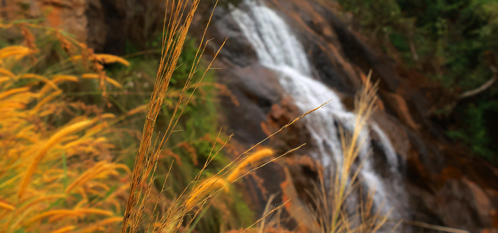  Eco Tourism Portal Tamil Nadu - Tnfdsutrula | Banner - 